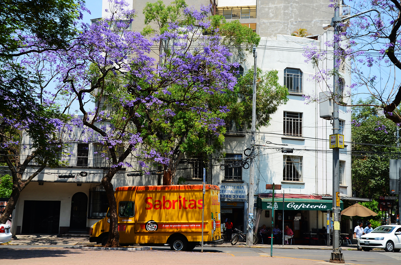 Condesa architetture