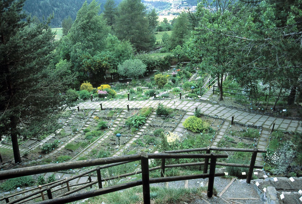 7 giardino-botanico-alpino-rezia-bormio