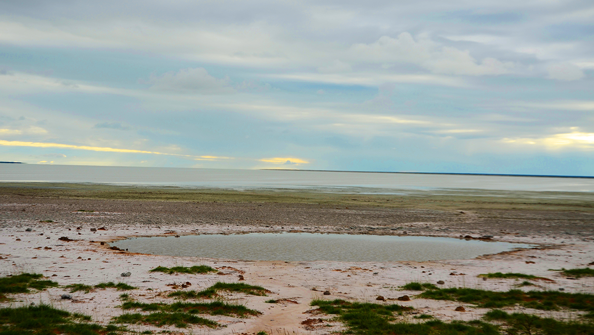 Etosha cratere nel Pan
