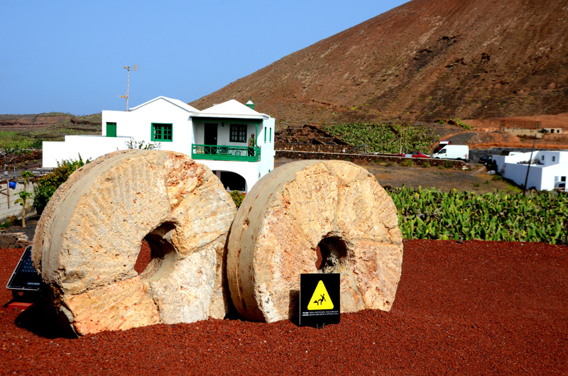I campi di cocciniglia intorno al Jardin de Cactus