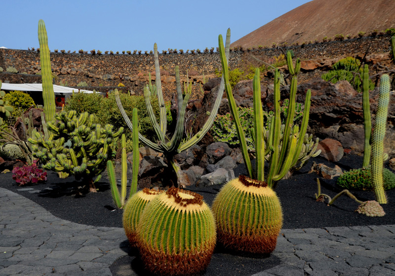 Jardin de Cactus, veduta