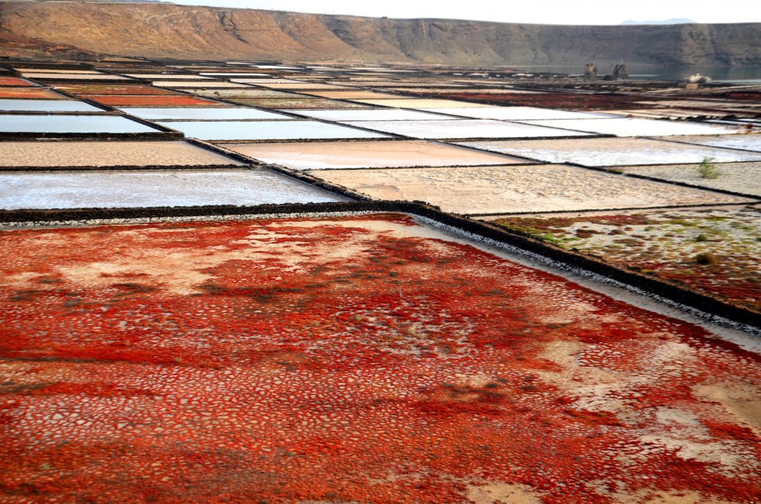 Le saline di Lanzarote