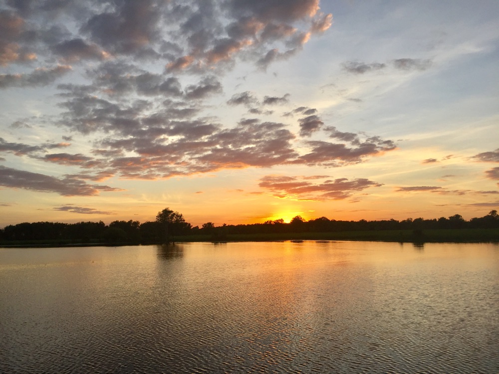 adelaide_river_australia