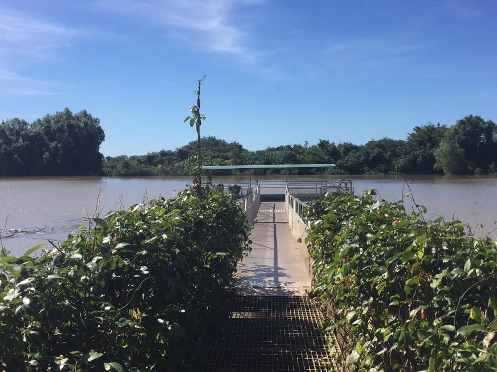 adelaide_river_crocodile