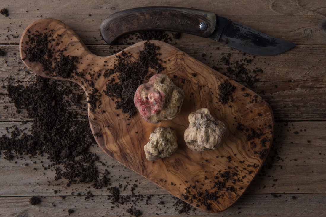 tartufo-bianco-alba tartufo-bianco-alba