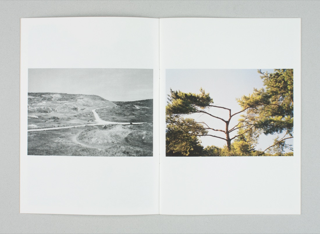 Caroline Karst, Influences naturelles by Evelise Millet, 2015