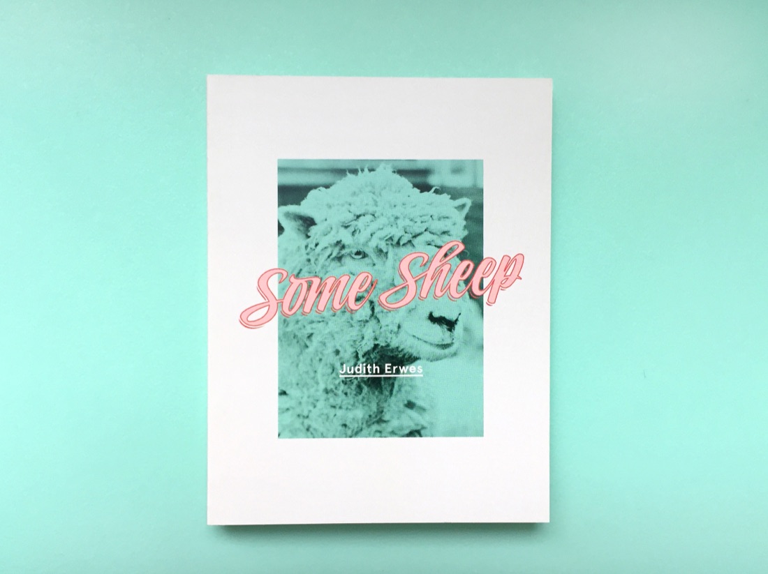 Erwes Bower, Some Sheep by Judith Erwes