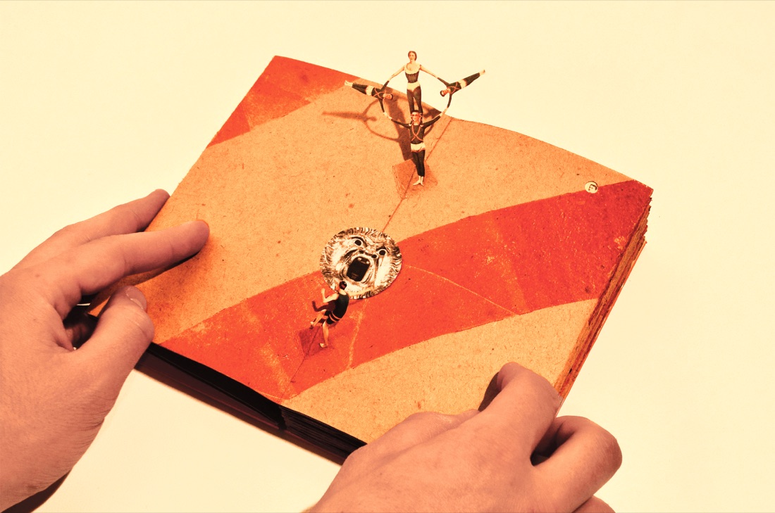 Libri Finti Clandestini, Il circolo di Atacama, 2016