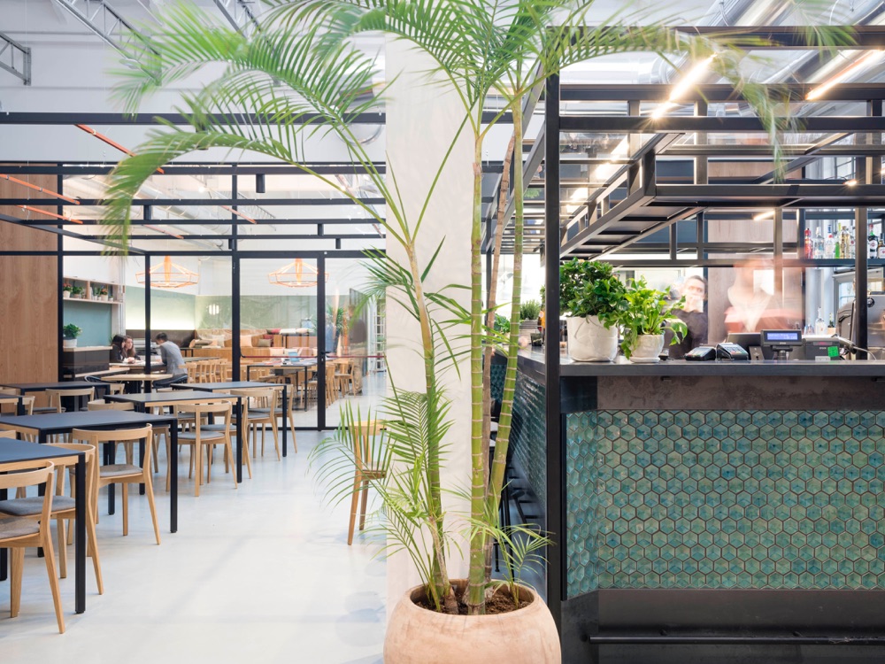 tenoha_restaurant_14