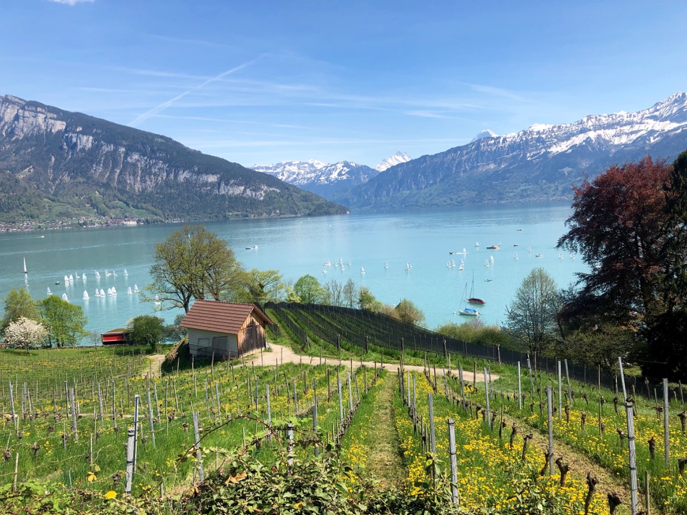 8 SPIEZ VIGNETI E LAGO