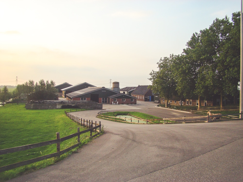 7 Krimpenerwaard de-twee-hoeven