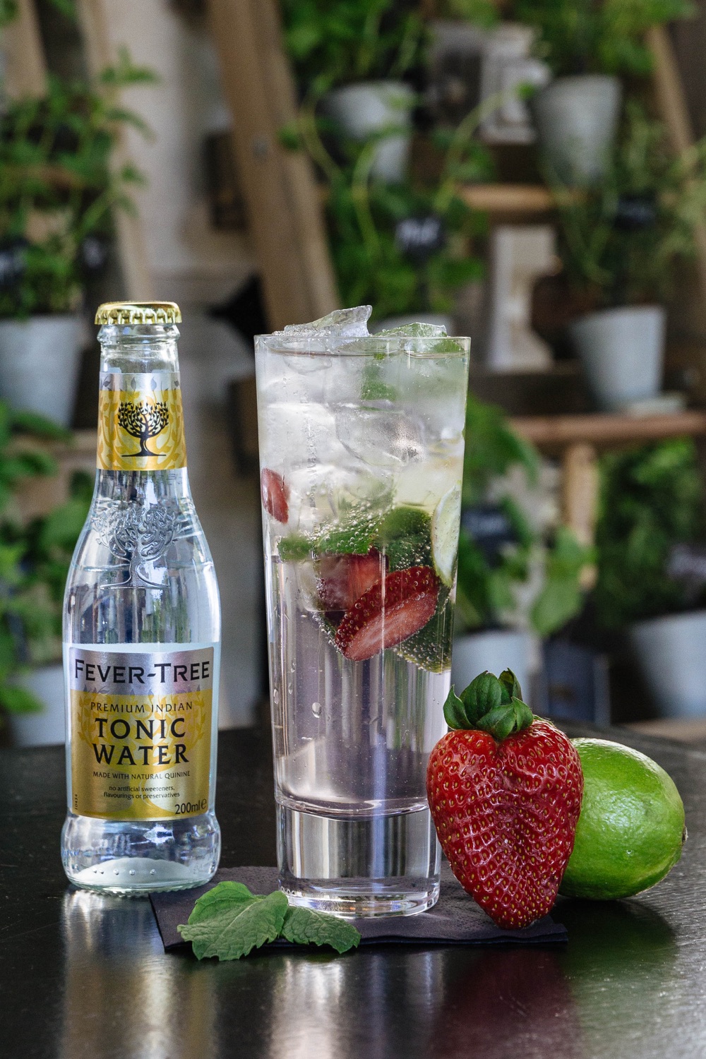 Royal Horse Guards (6)