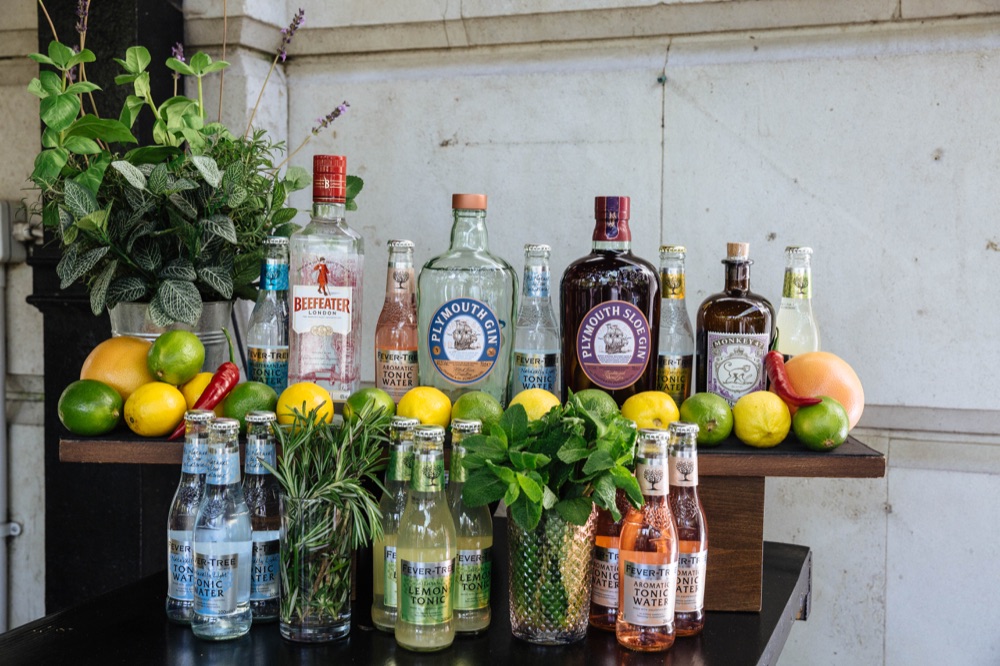 Royal Horse Guards (8)