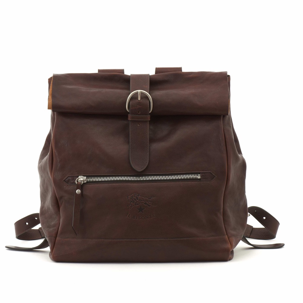 il bisonte A2704_PO566