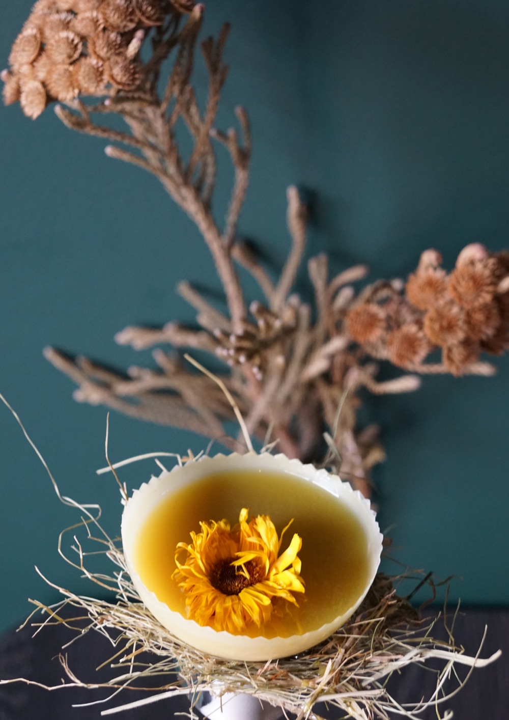 winnie goes to talea 01