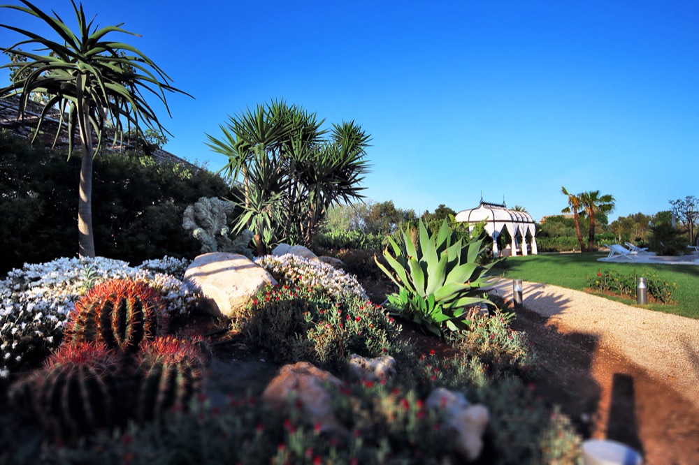 14 Donna Coraly Giardino