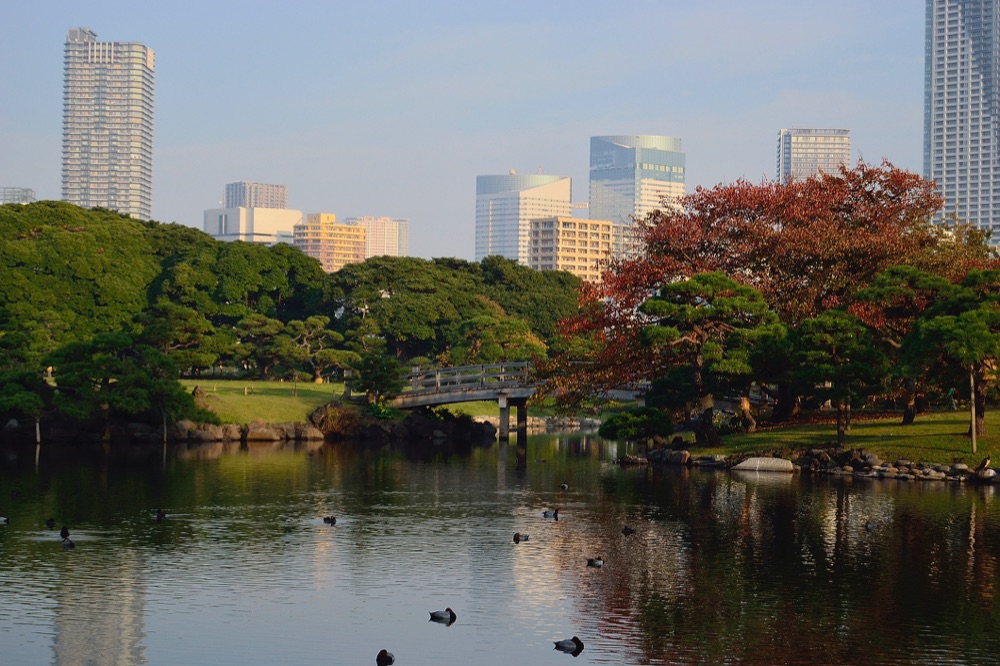 6 Giardini di Hama Rikyu