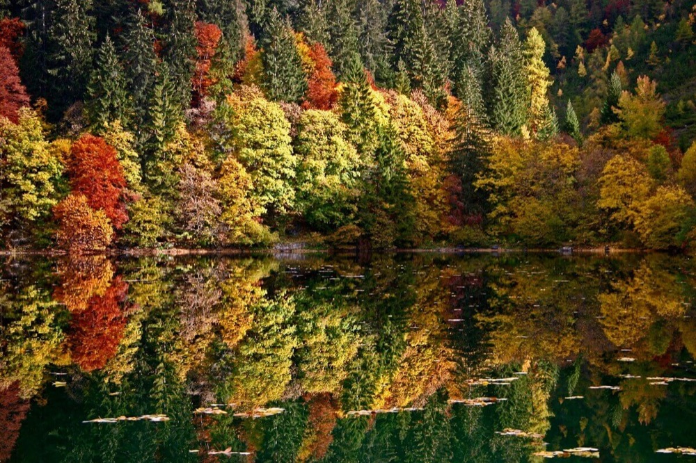 2 foliage-lago-di-tovel-trentino-autunno