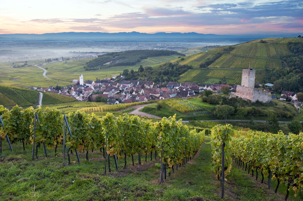4 route-des-vins-alsace