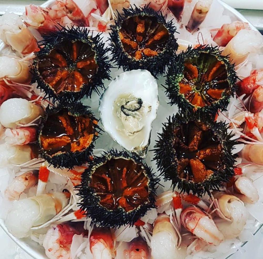 virgilio_piatto virgilio_piatto