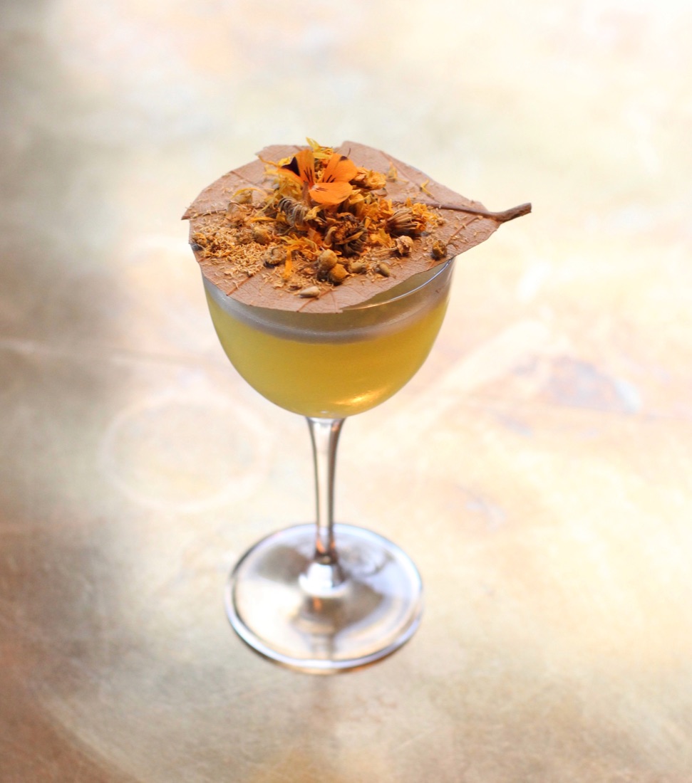 Drink 4-dry-milano-volpe