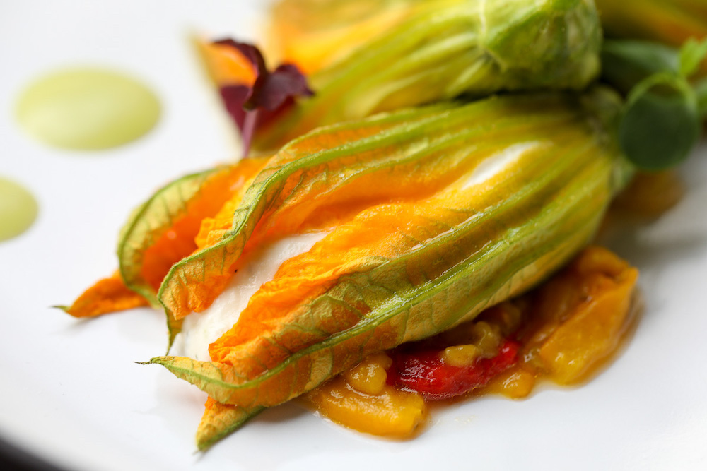 Fiori di zucchina e ricotta pugliese