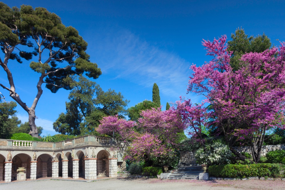4 Nizza parco pubblico
