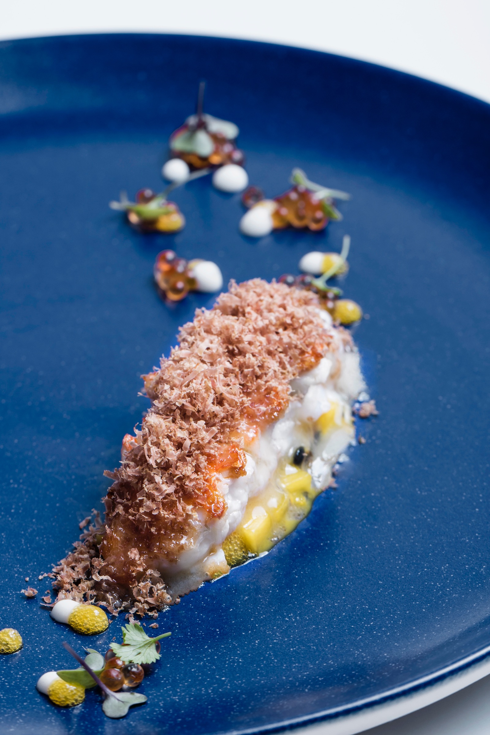 Scampo, bottarga di carne, mango e burro acido