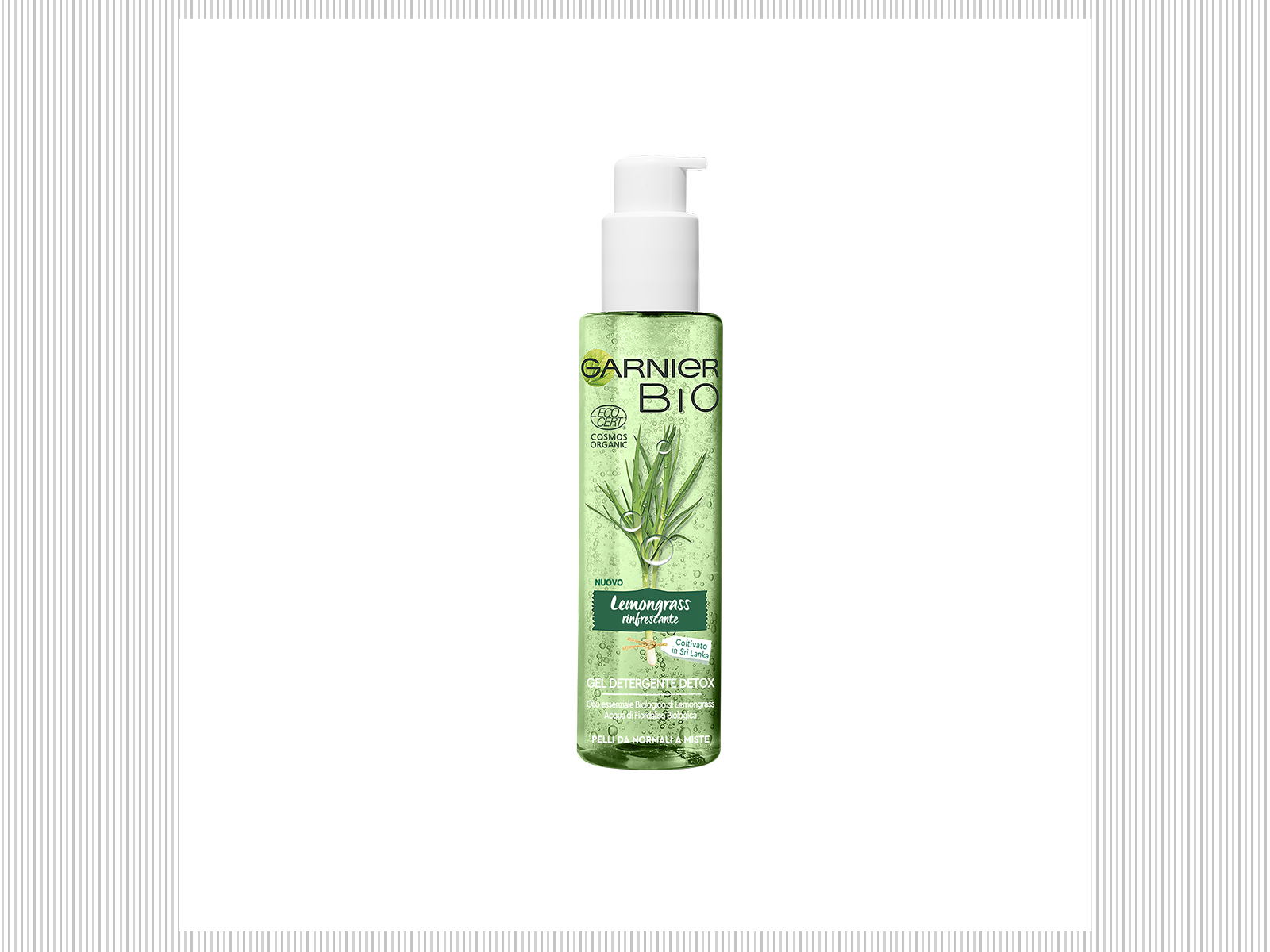 garnier