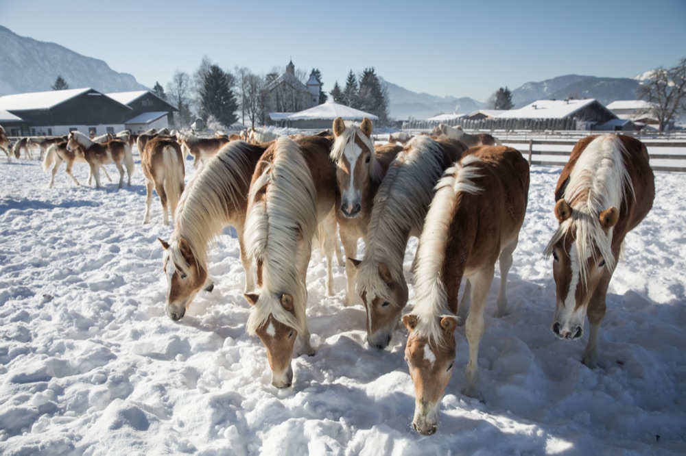 9 Kufsteinerland Ebbs