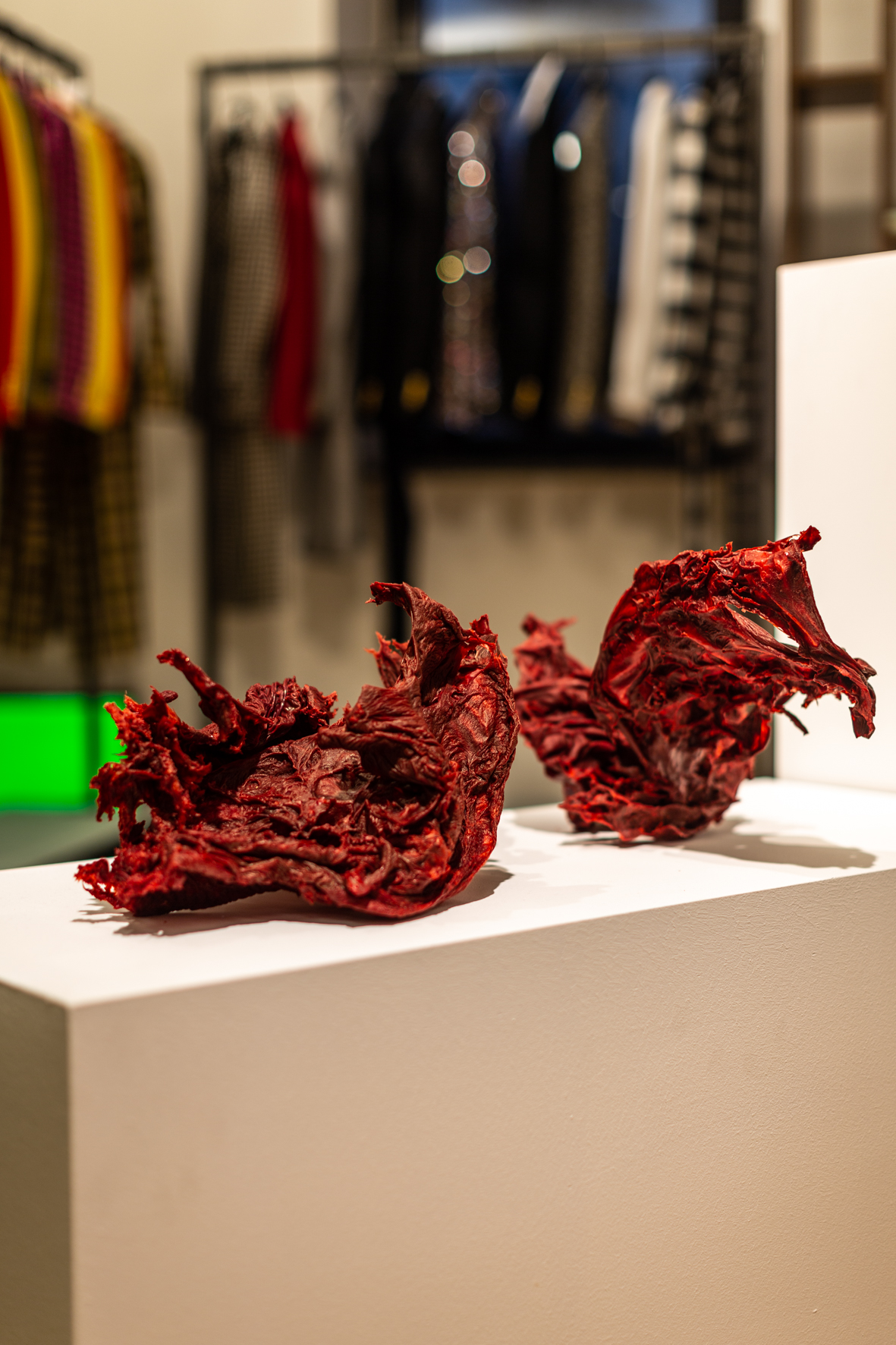 Fabio_Roncato_Momentum_2