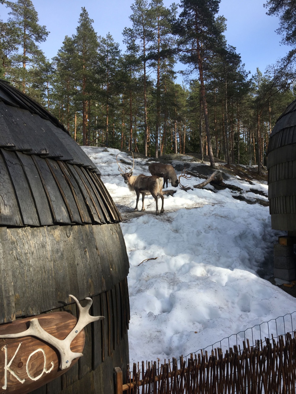 12 Igluhut, Finlandia