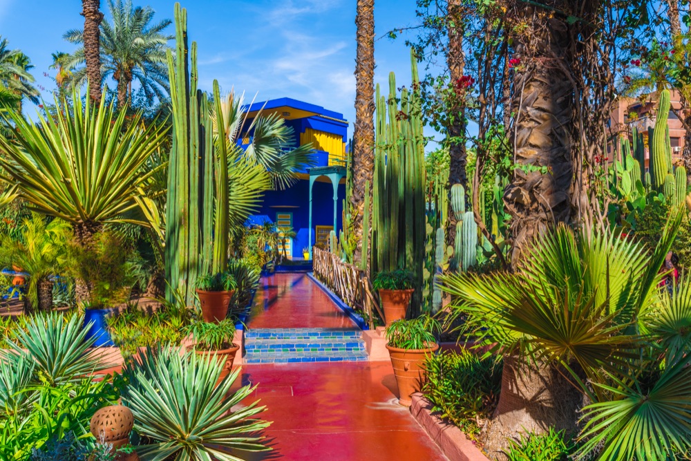 5 Tropical garden At Le Jardin Majorelle