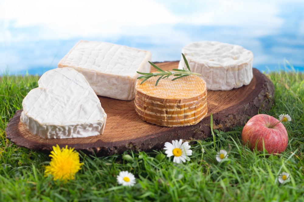 10 Livarot, Neufchatel, Camembert, Pont L'eveque 10 Livarot, Neufchatel, Camembert, Pont L'eveque