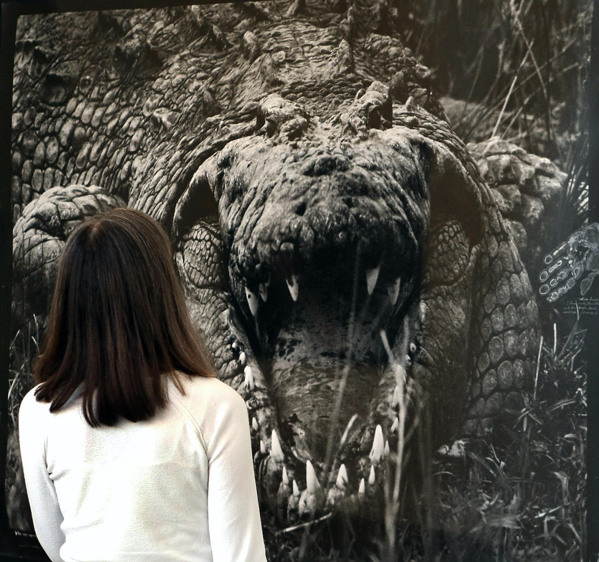 A woman looks at a photograph titled " L