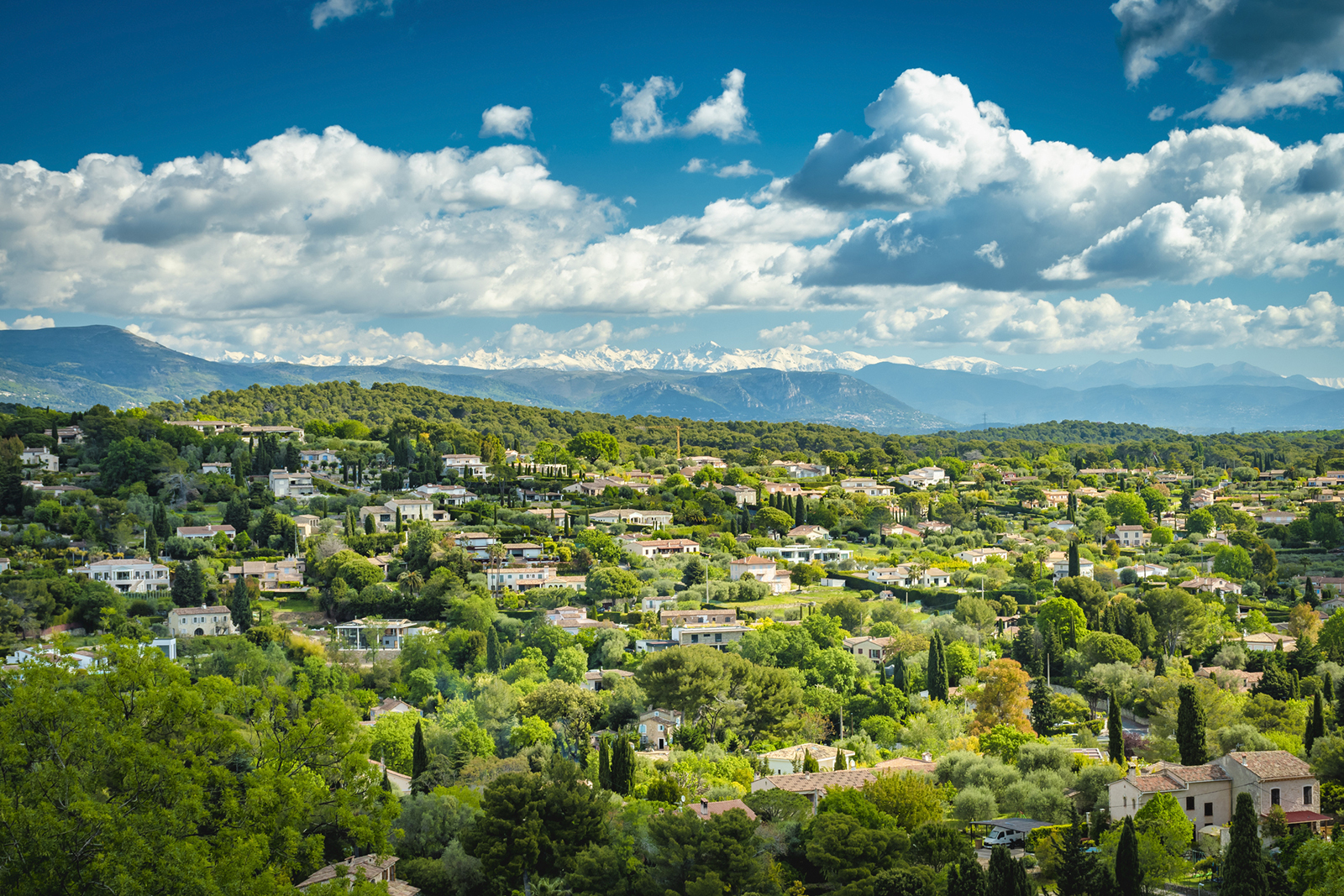 Country mansions of Mougins in the region Alpes-Maritimes