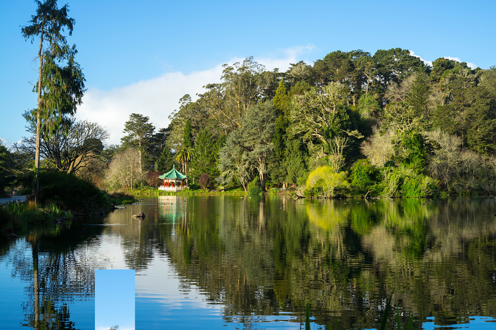 Stow Lake in Golden Gate Park