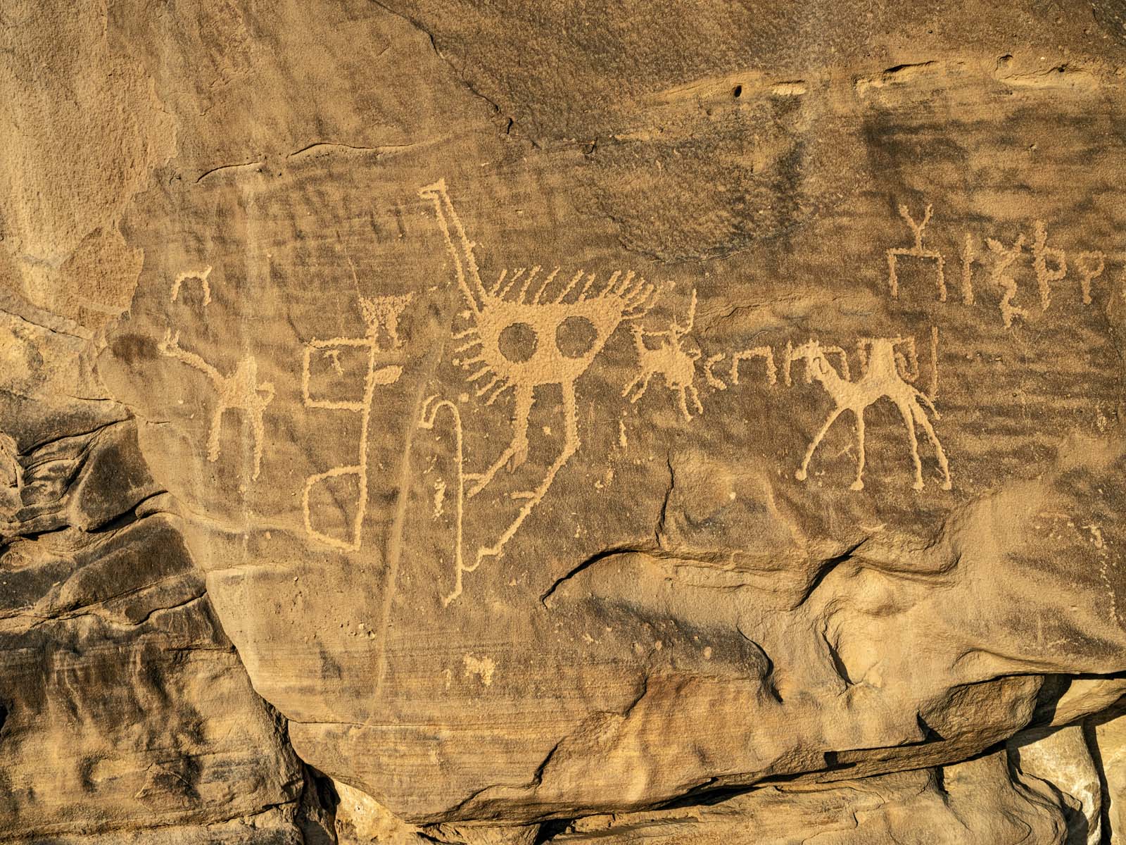 13 © Robert Polidori