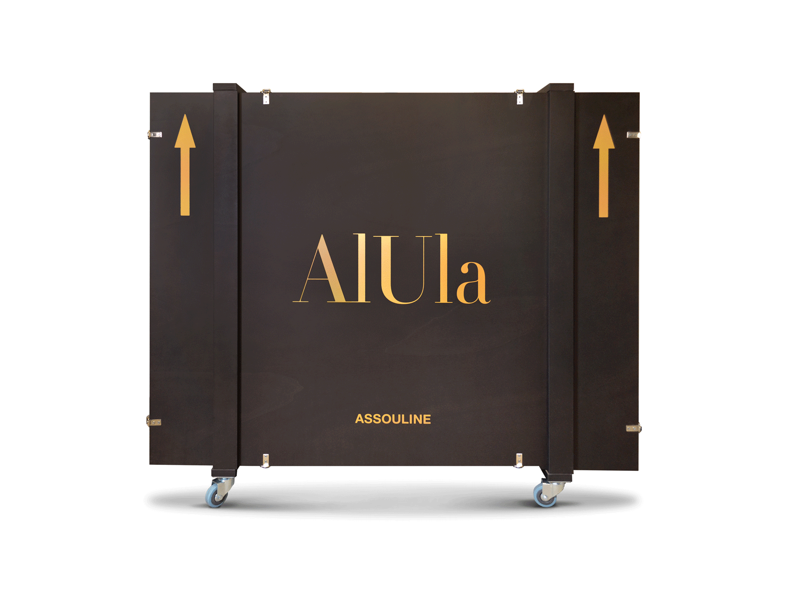 aiula-3