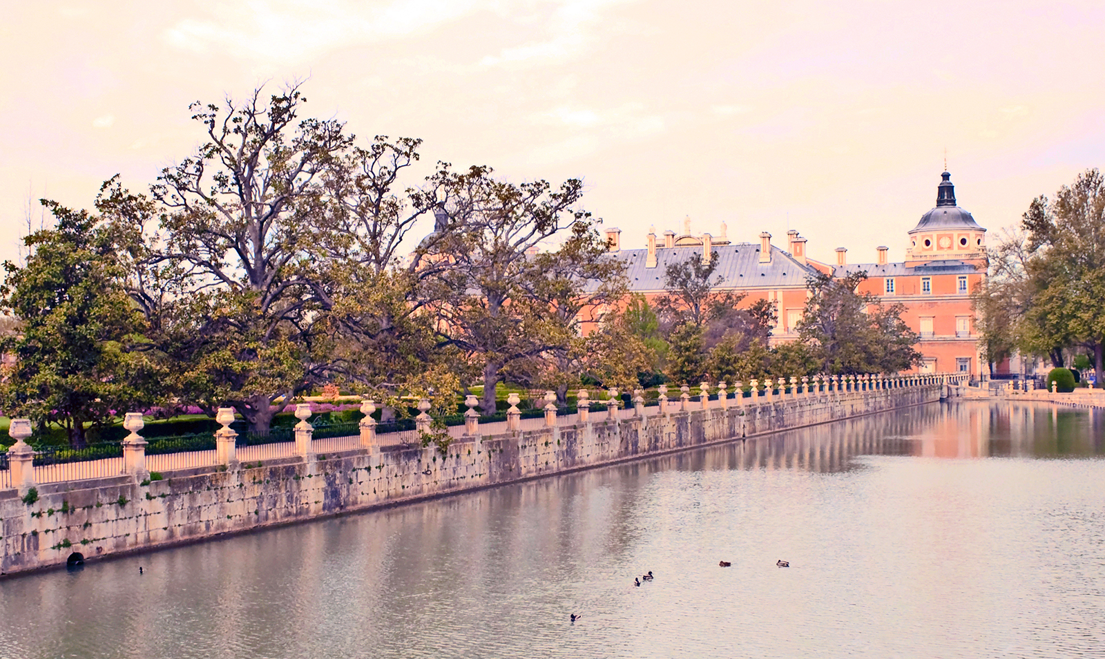 River near the trees