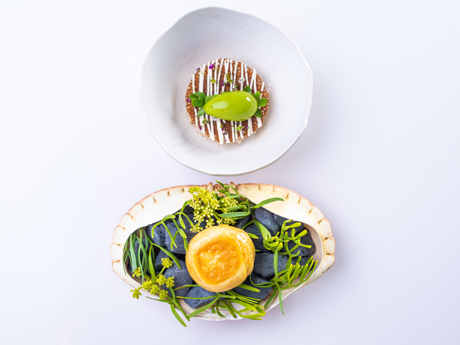 5 Le tourteau de casier