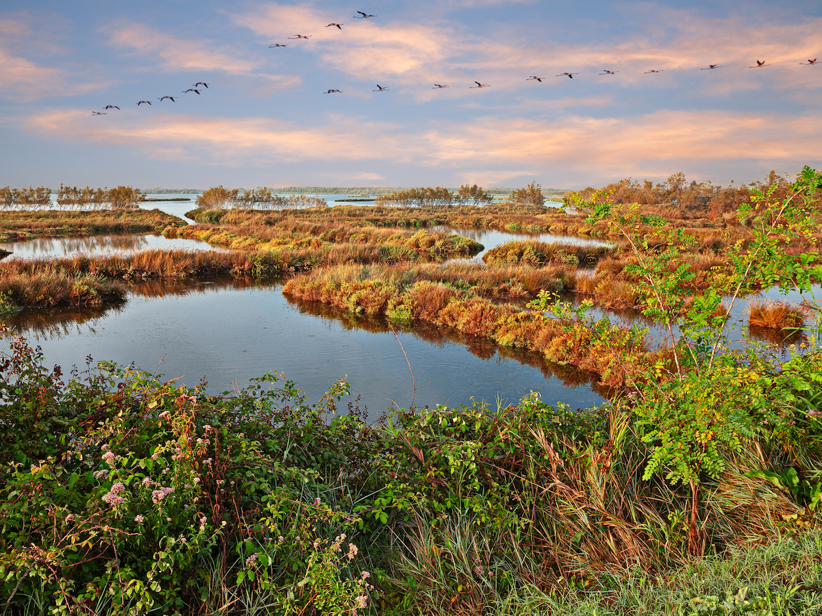 Delta del Po, Emilia e Veneto Delta del Po, Emilia e Veneto