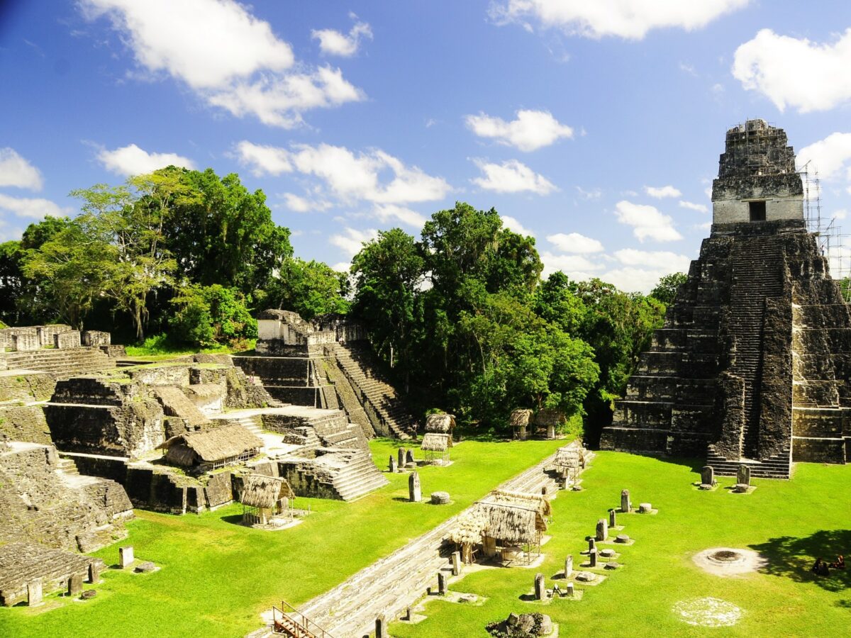 hector-pineda-M25dywqGkrg-unsplash (1)