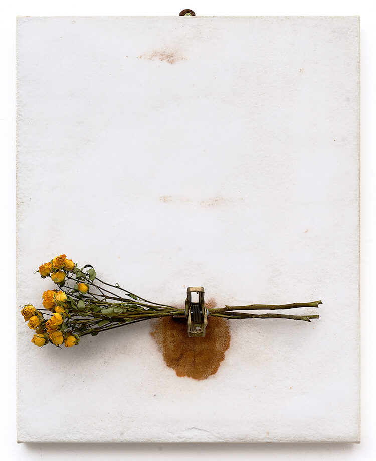 29_Repetto_Calzolari