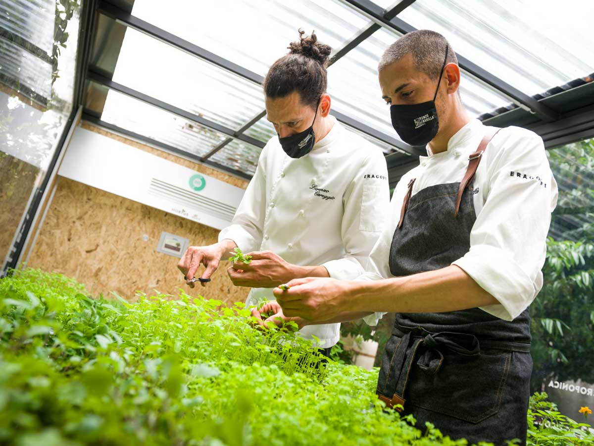 Alta-cucina-vegetale-Lorenzo-Careggi-EraGoffi Alta-cucina-vegetale-Lorenzo-Careggi-EraGoffi