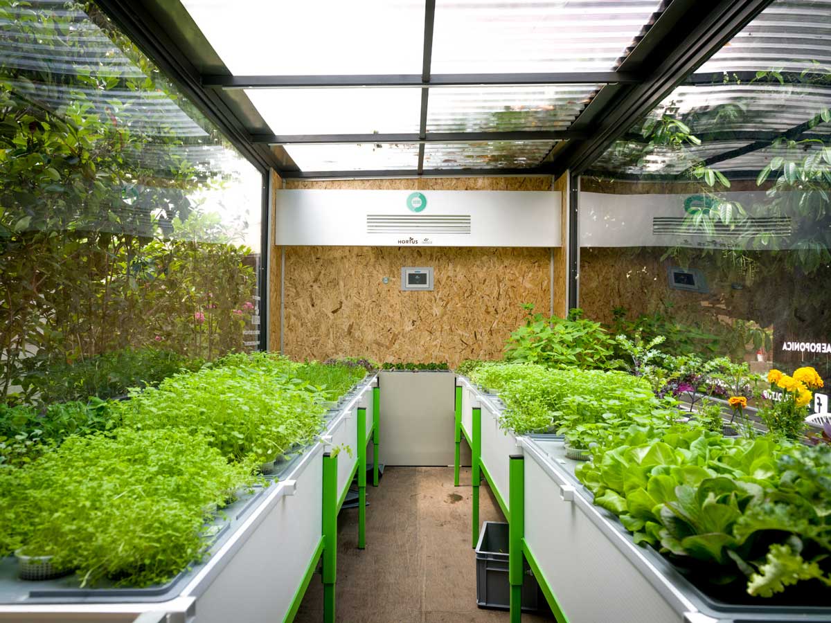 Serra-aeroponica-EraGoffi-Torino-2 Serra-aeroponica-EraGoffi-Torino-2