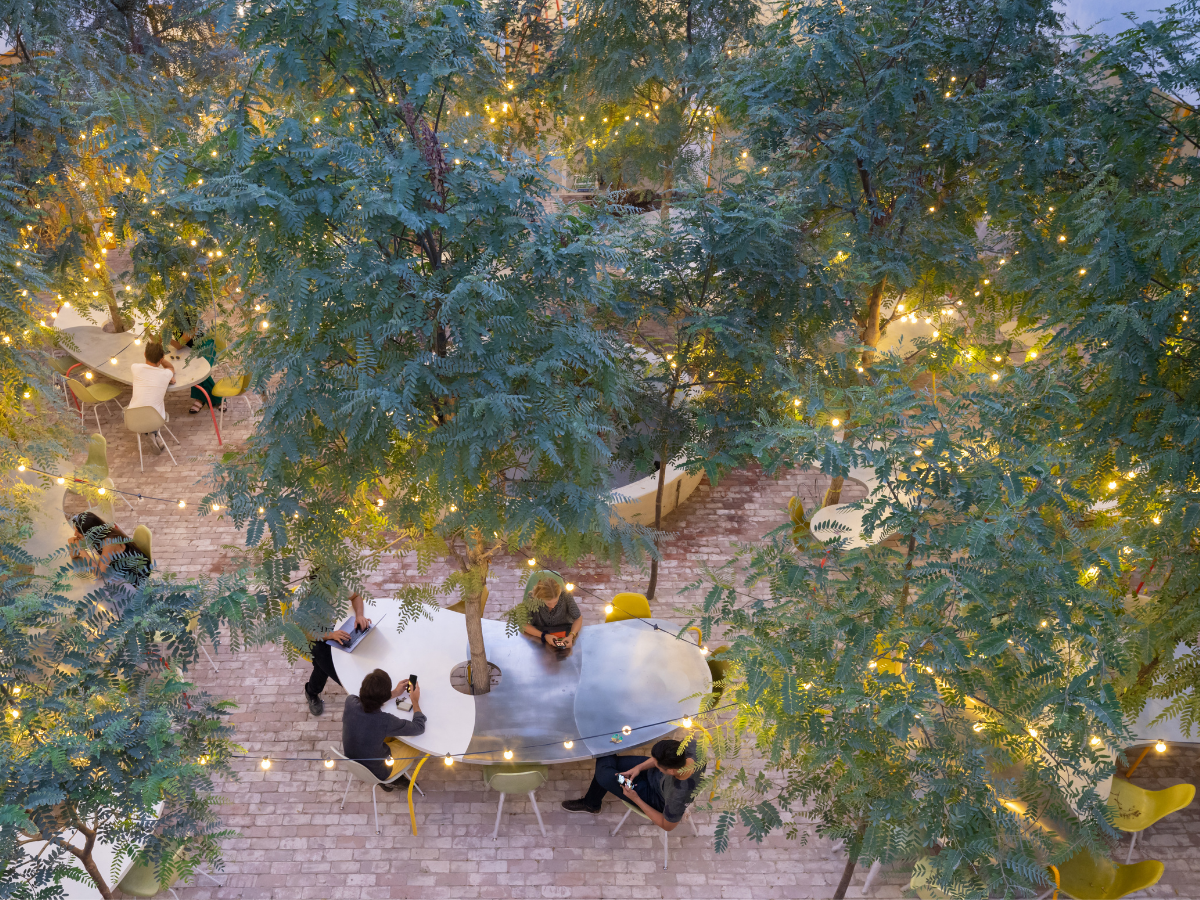 5 SH Hollywood SCA 1896