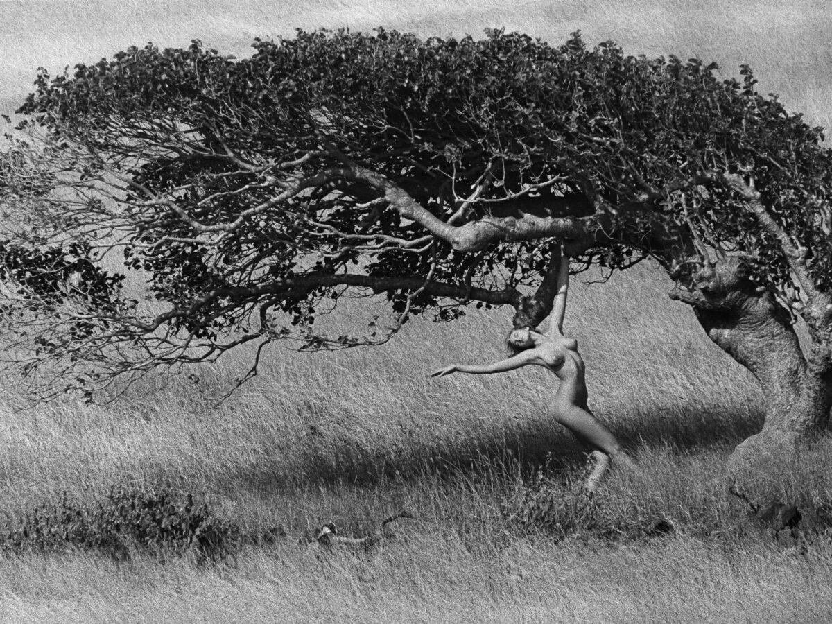 Ashley_Richardson_(St_Barth)_1984_Fine_Art_Giclée_Print.(05) - Copia