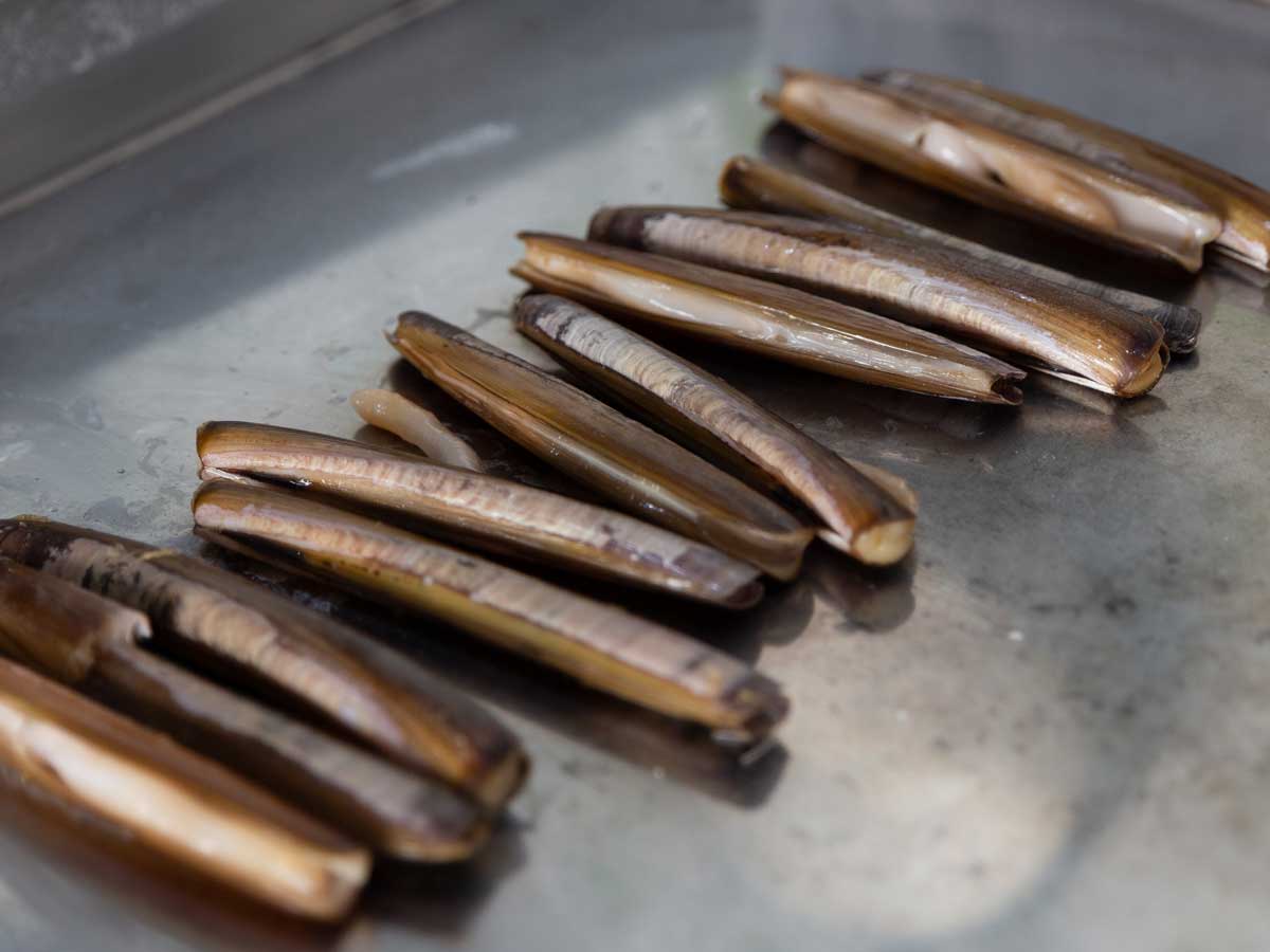 Bar-do-Porto-menu-cannolicchi