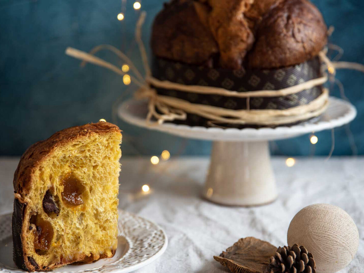 Albicocche-e-cioccolato-Ciacco-Panettone Albicocche-e-cioccolato-Ciacco-Panettone